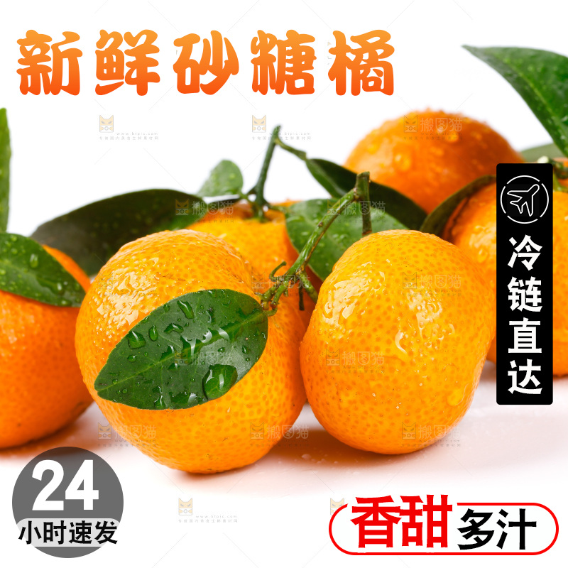 白底上放着砂糖橘