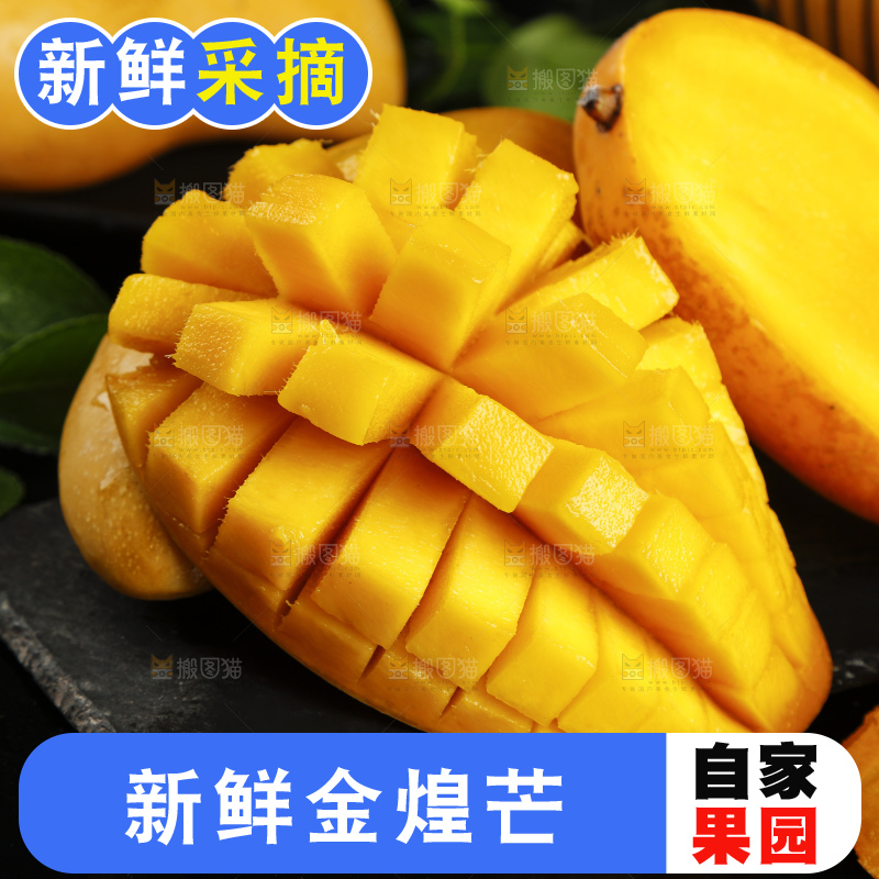 切开的海南水仙芒放在深底上