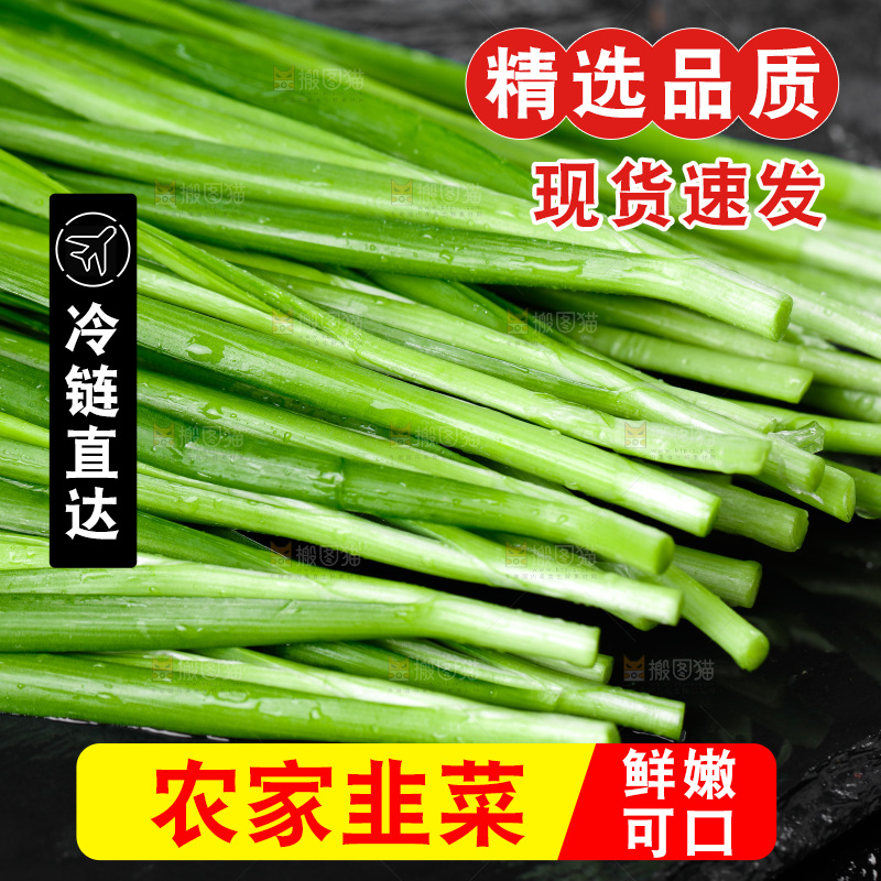 黑石板上的韭菜