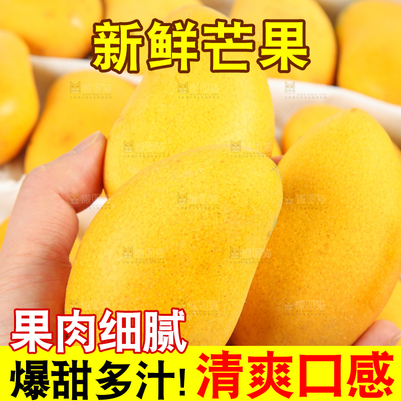 手拿新鲜小台芒