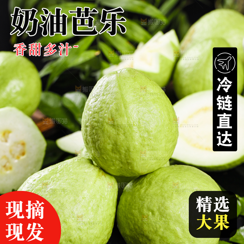 一堆新鲜的广西白心芭乐