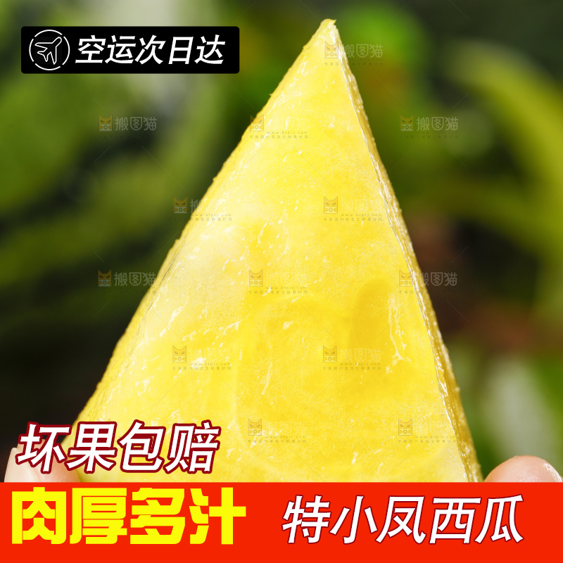 手拿切开的特小凤西瓜