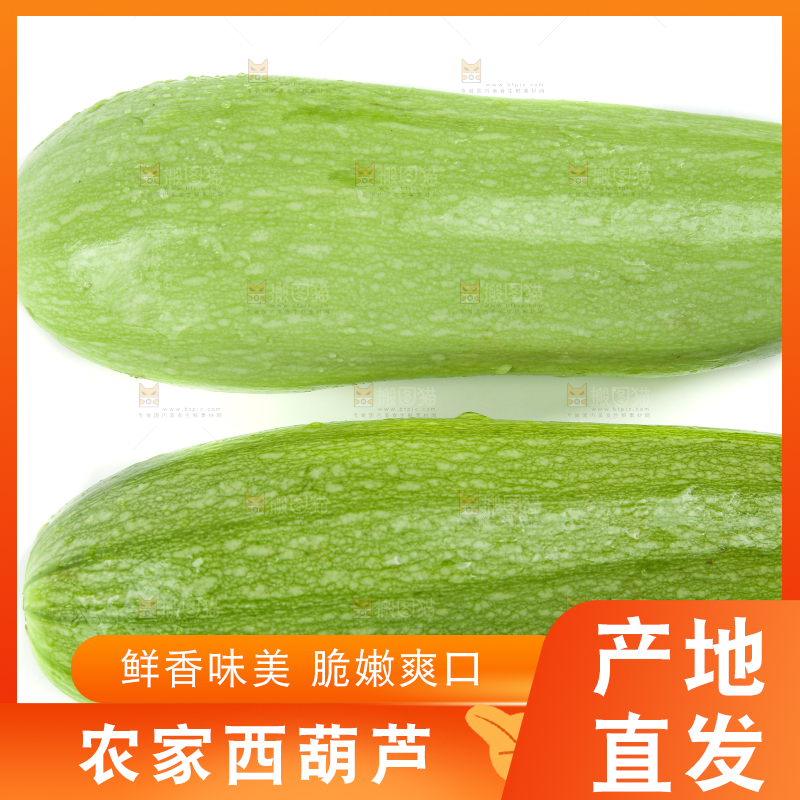 白底上摆放着茭瓜