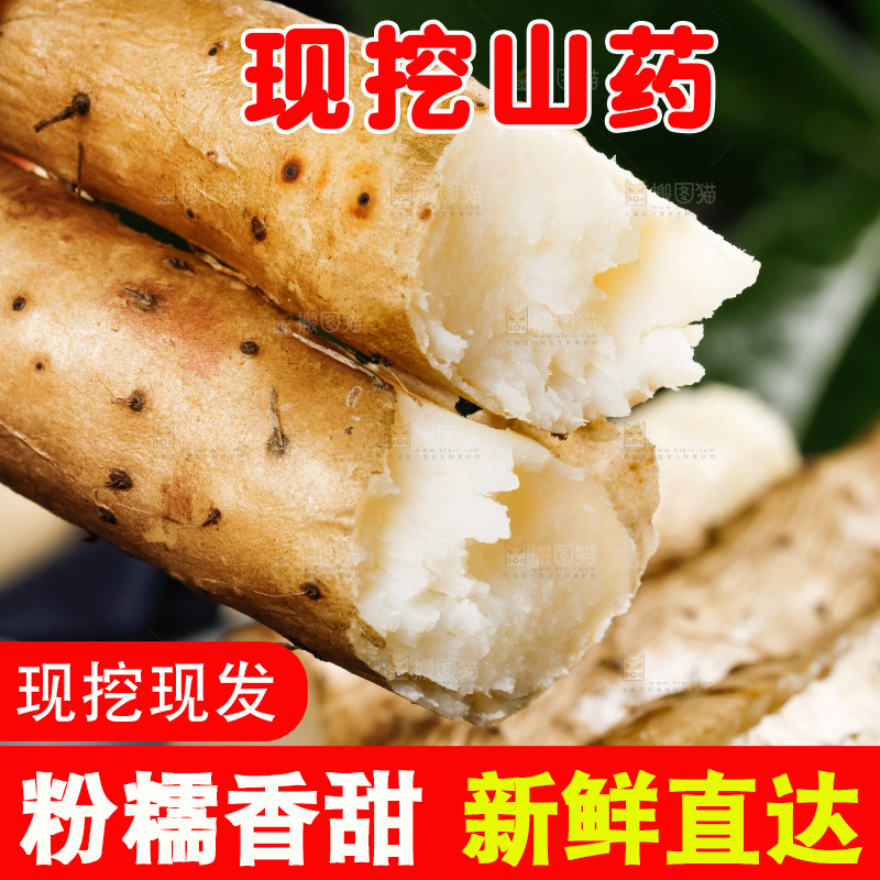 手里拿着怀山药