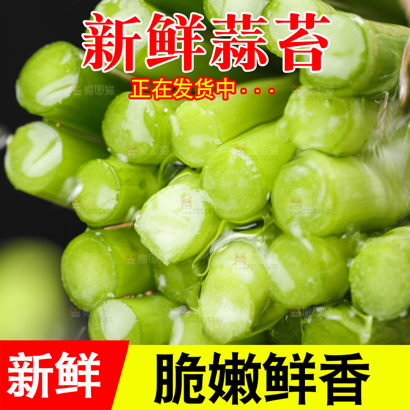 手里拿着一把嫩蒜苔