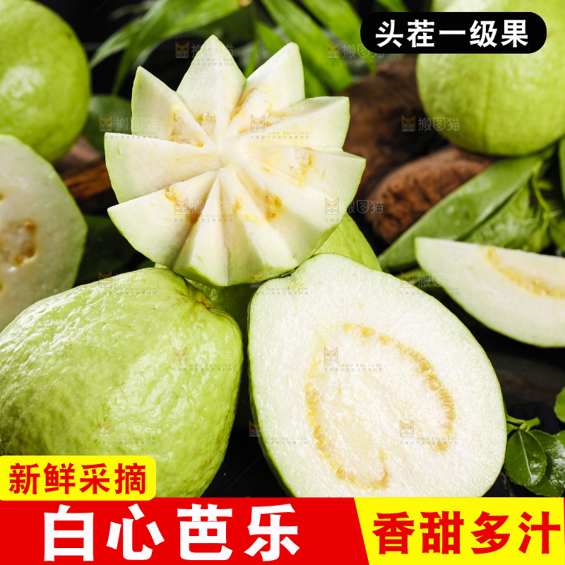 一堆新鲜的广西白心芭乐