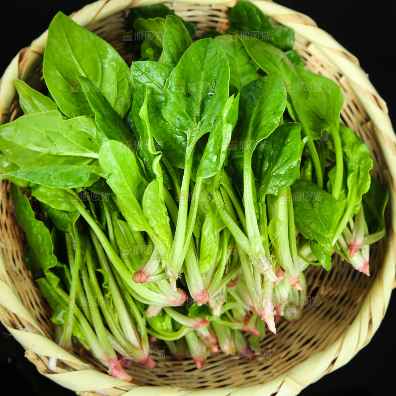 黑底上放着菠菜