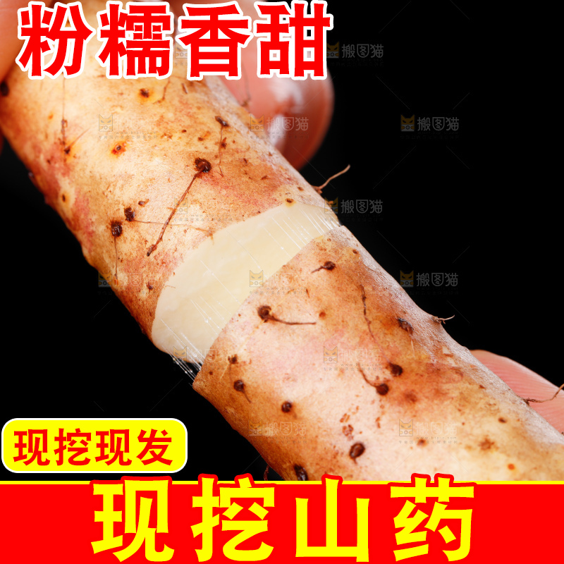 手里拿着小白嘴山药