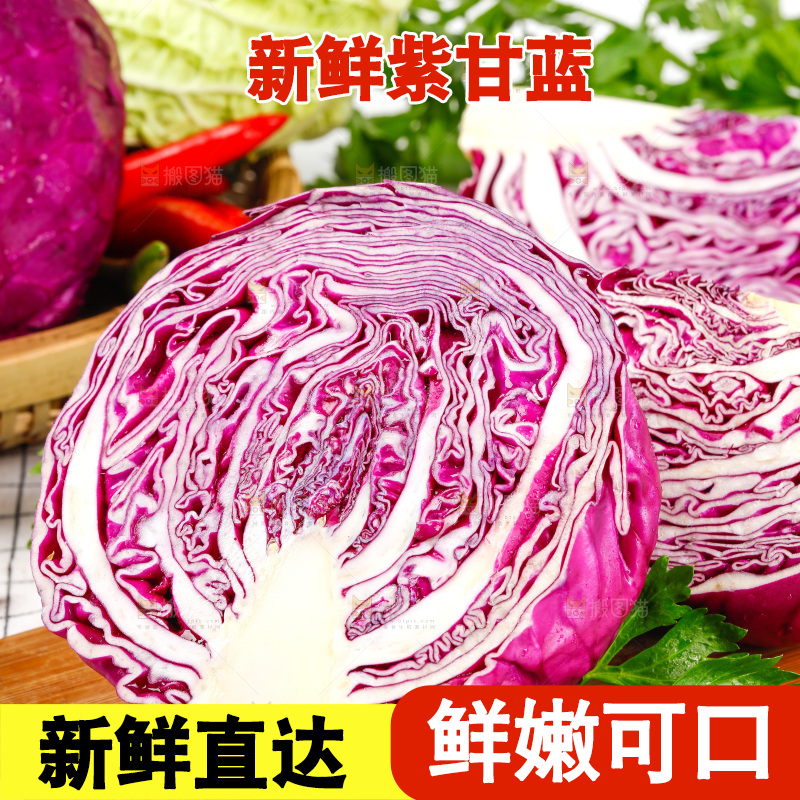 格子底上放着甘蓝