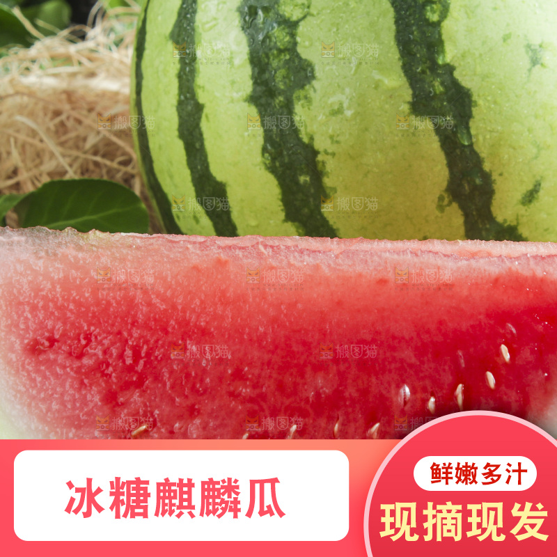 新鲜冰糖西瓜放在木底上