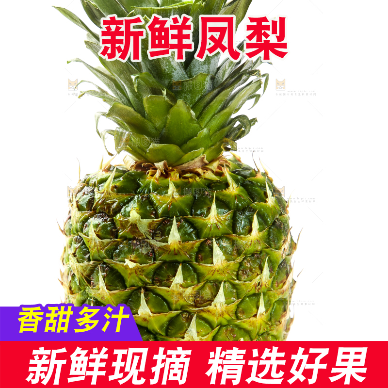 白底上的海南金钻凤梨