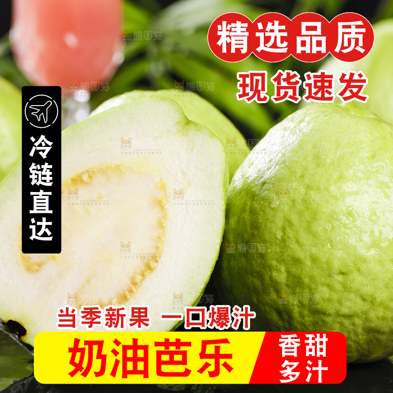 一堆新鲜的广西白心芭乐