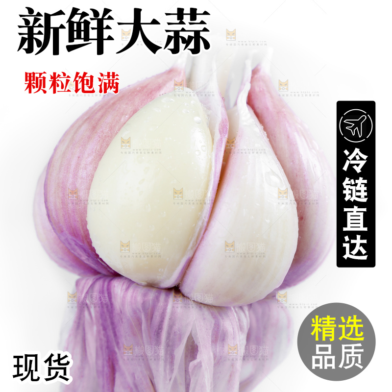白底上放着新鲜的云南紫皮大蒜