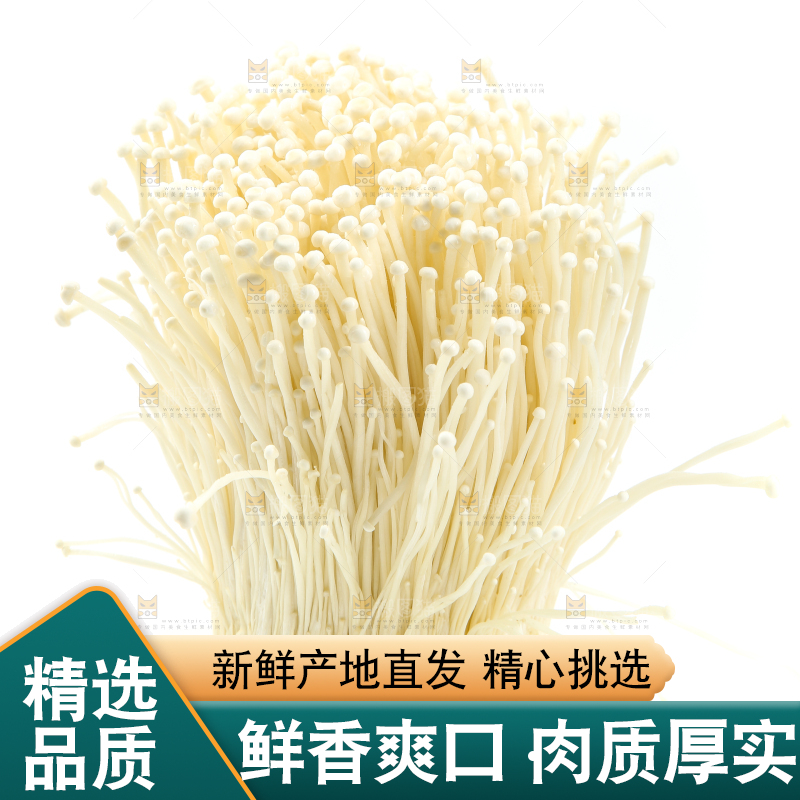 白底上的金针菇