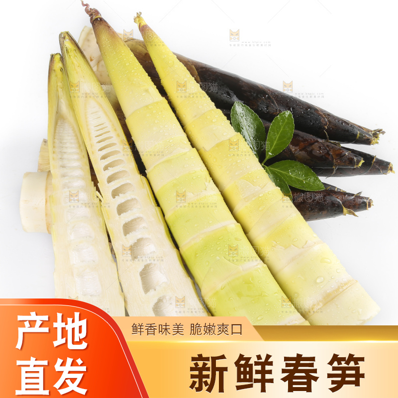 切开的新鲜竹笋放在白底上