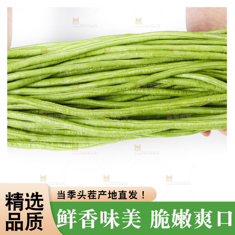手拿新鲜豇豆