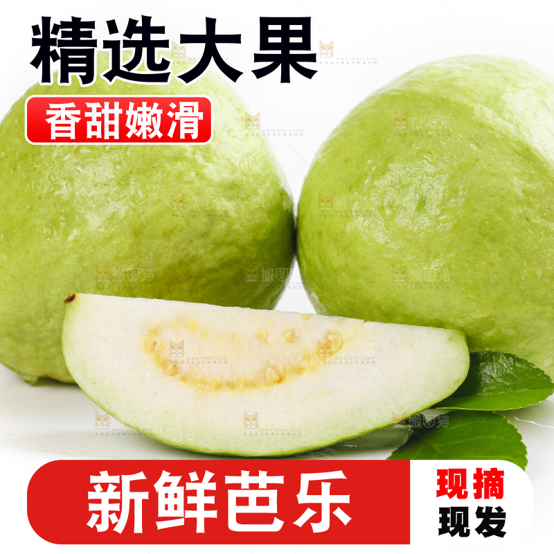 白底上放着白心番石榴