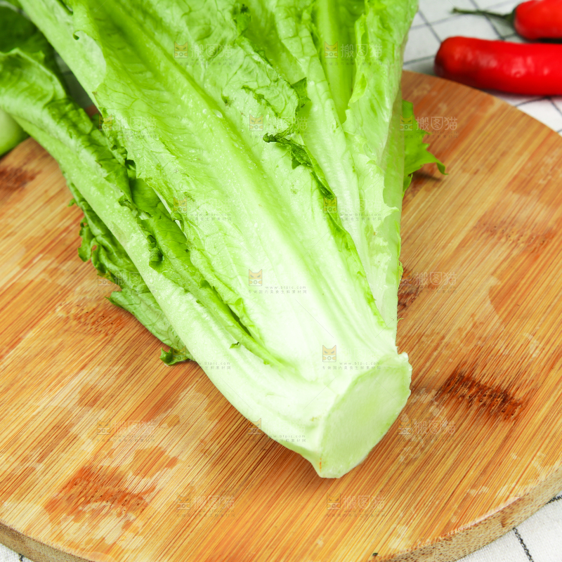 格子底上放着油麦菜