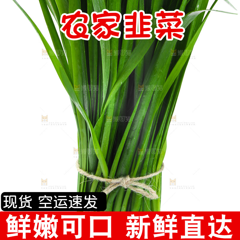 白底上放着新鲜韭菜