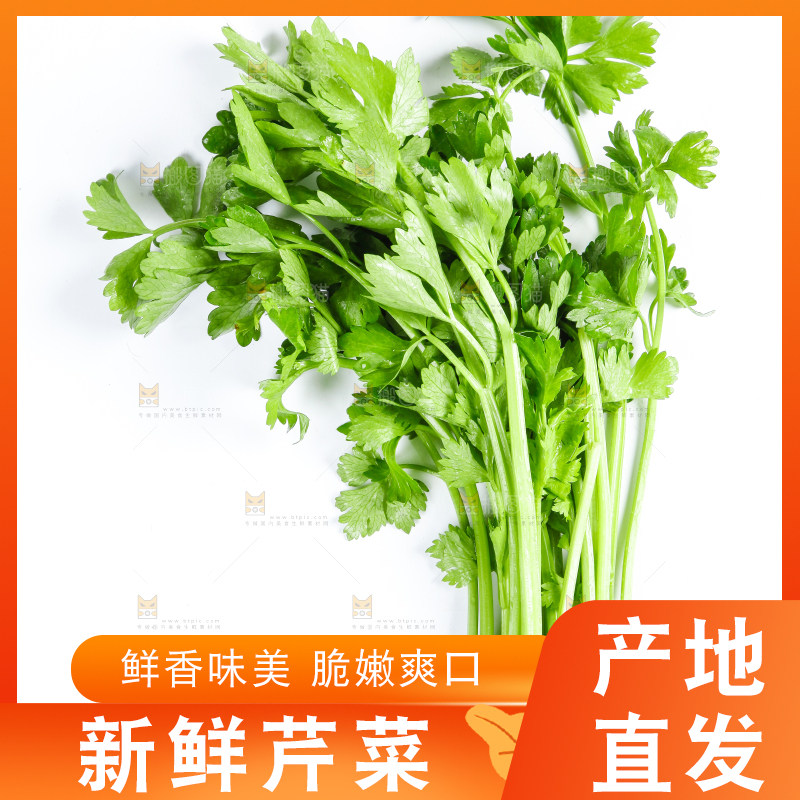 白底上的芹菜
