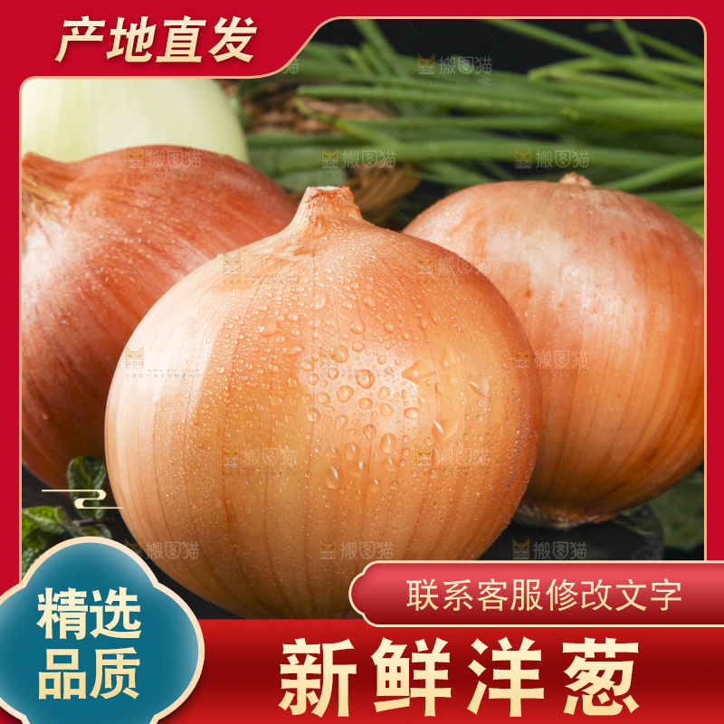 黑石板上放着云南新鲜黄洋葱