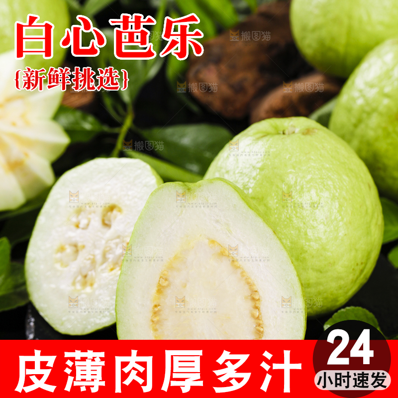 黑石底上放着白心芭乐
