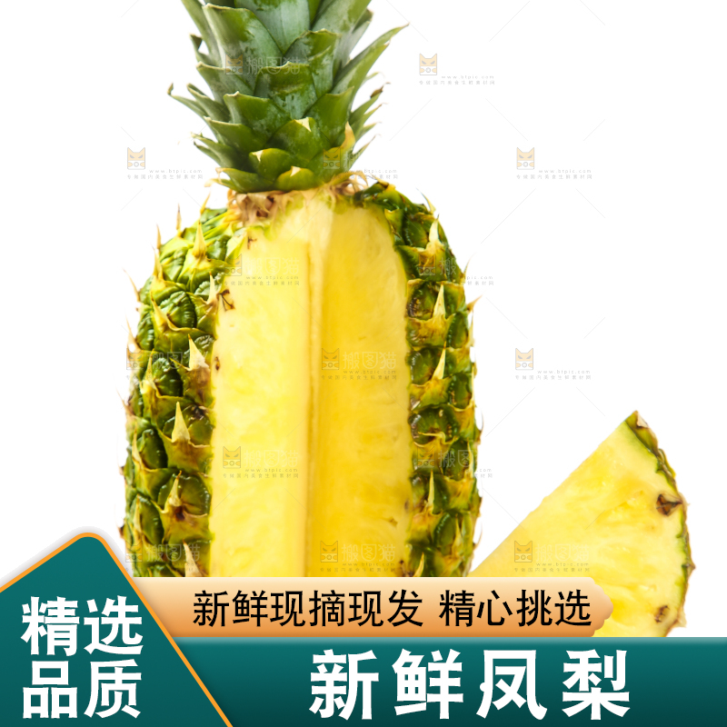 白底上的凤梨