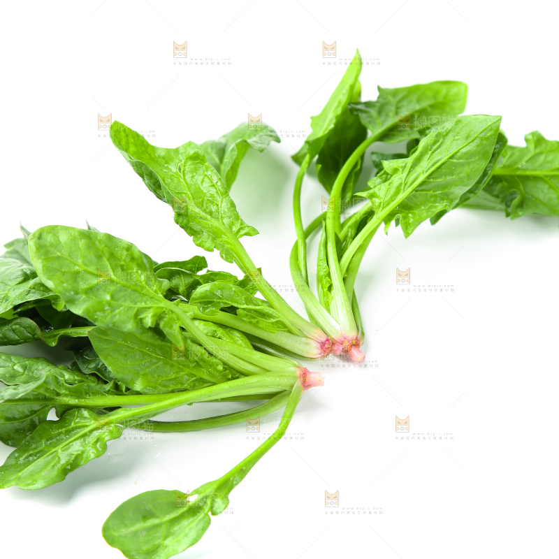 白底上放着新鲜菠菜