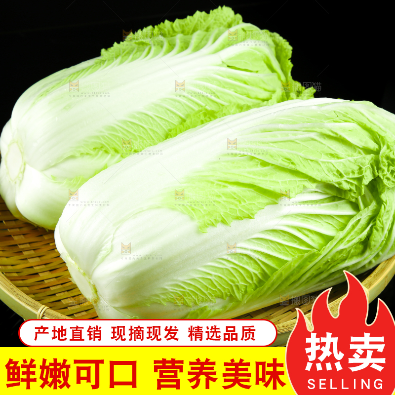 黑底上的黄心大白菜