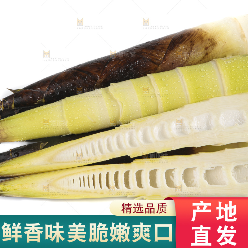 切开的临安春笋放在白底上