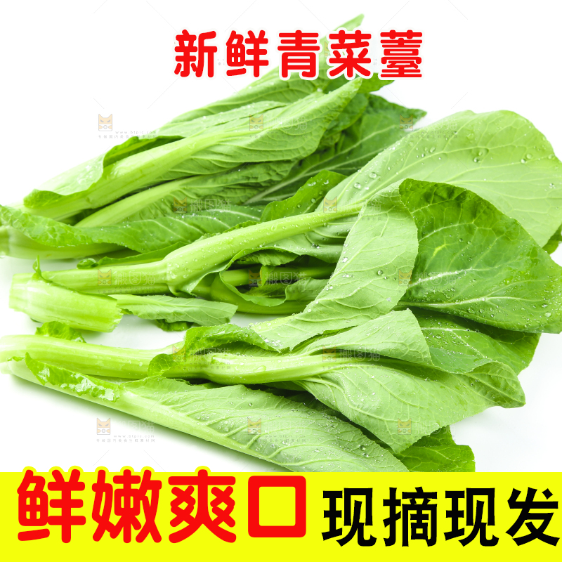 白底上放着青菜薹