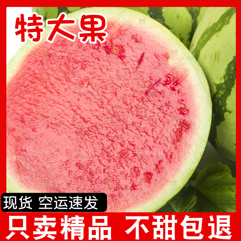 切开的麒麟西瓜放在白底上