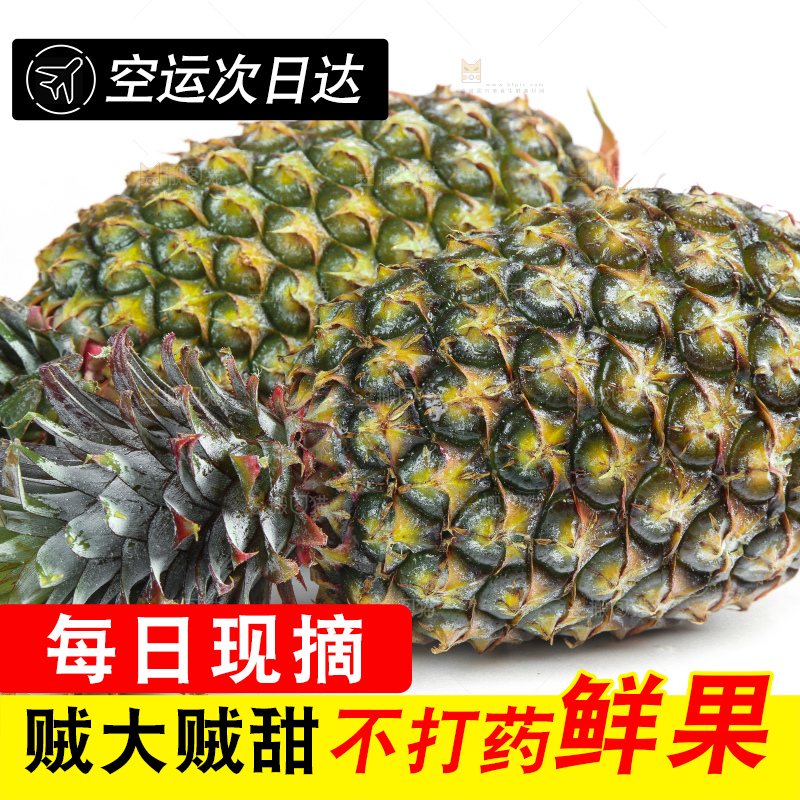 白底上的新鲜凤梨