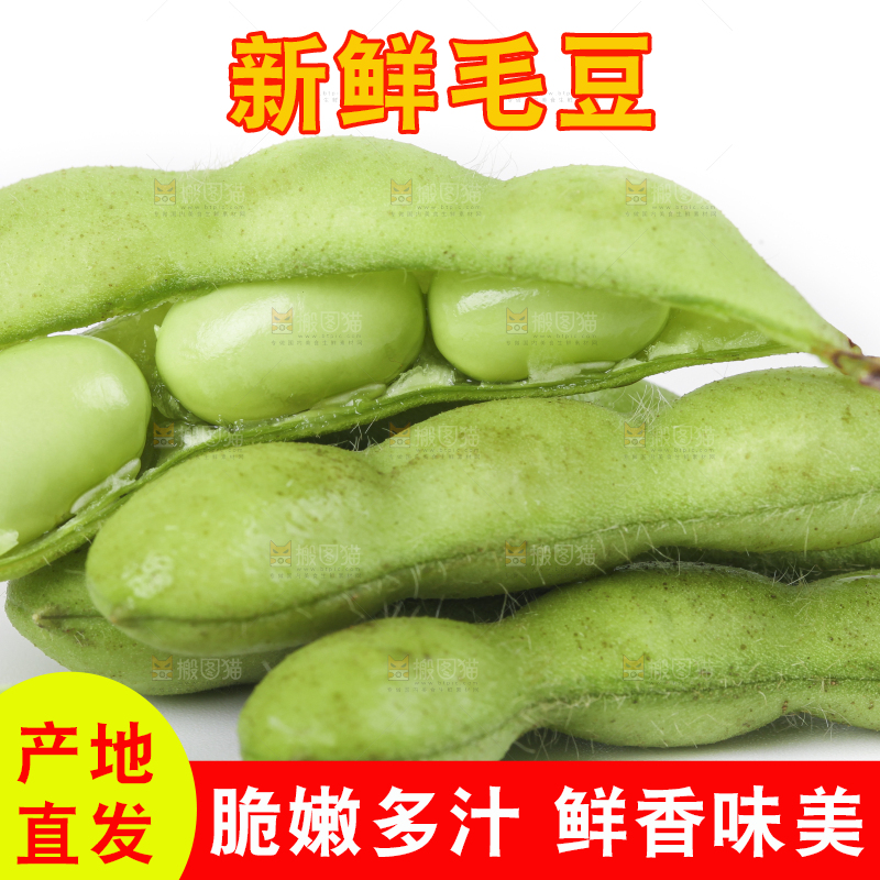 白底上放着四川新鲜毛豆