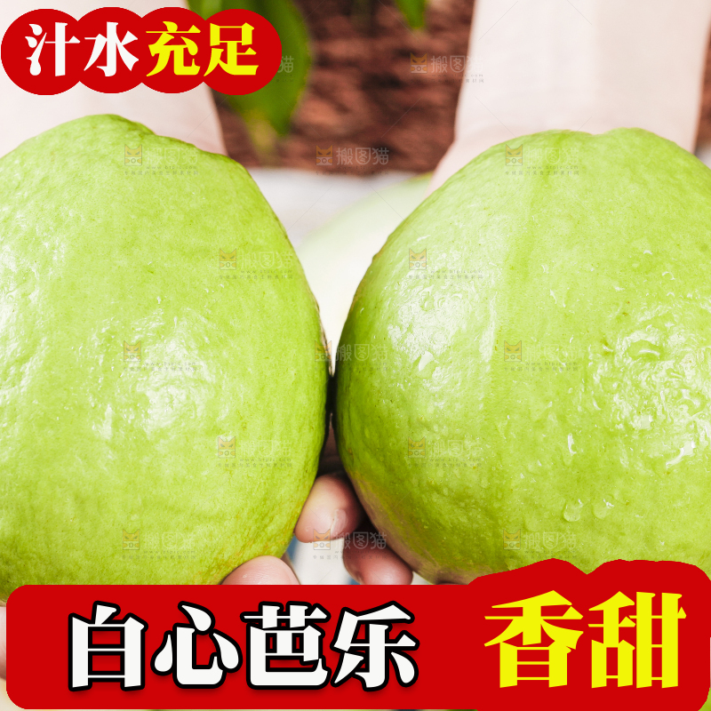 手里拿着白心芭乐