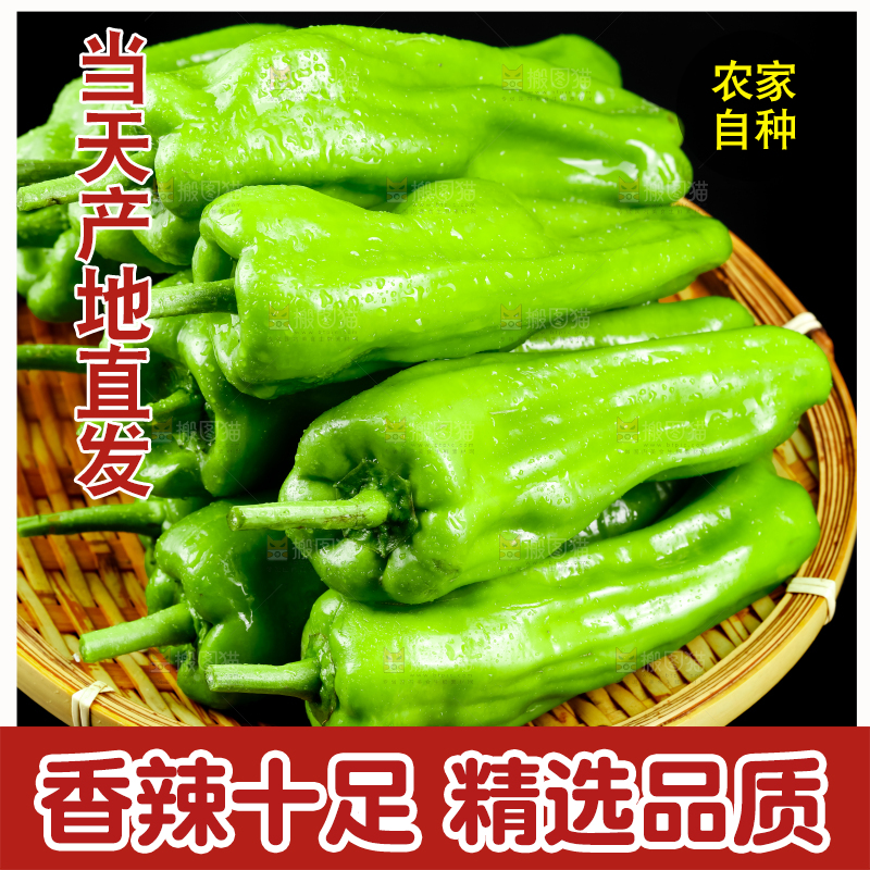 黑底上放着一篮辣椒