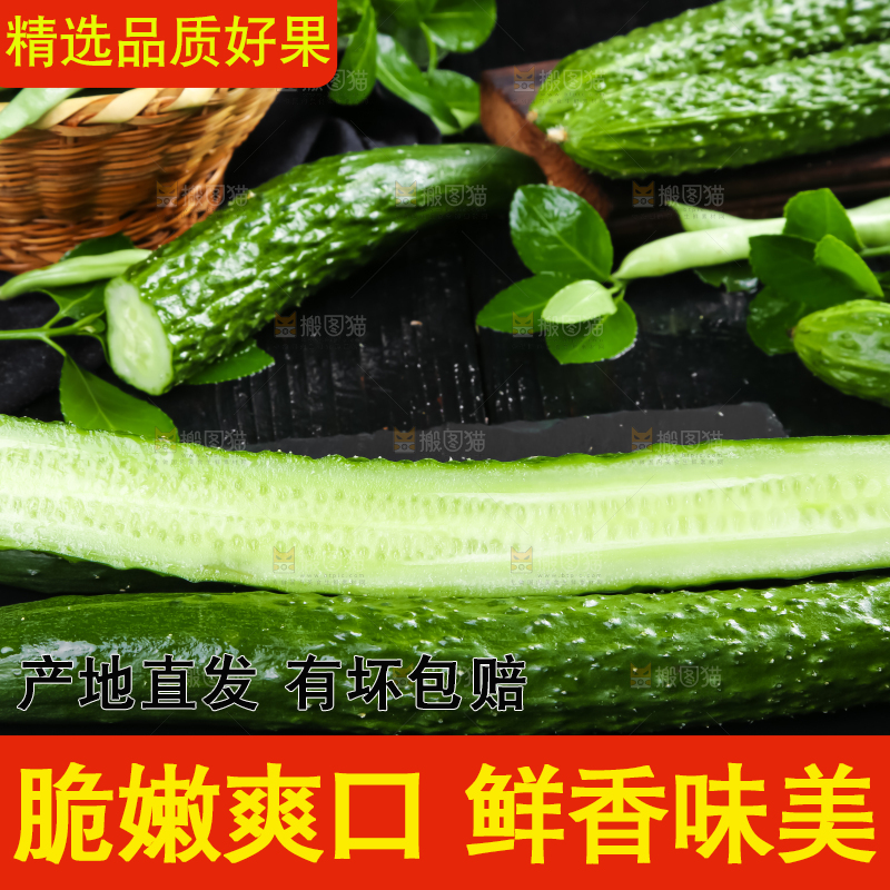 黑底上放着切开的新鲜青瓜