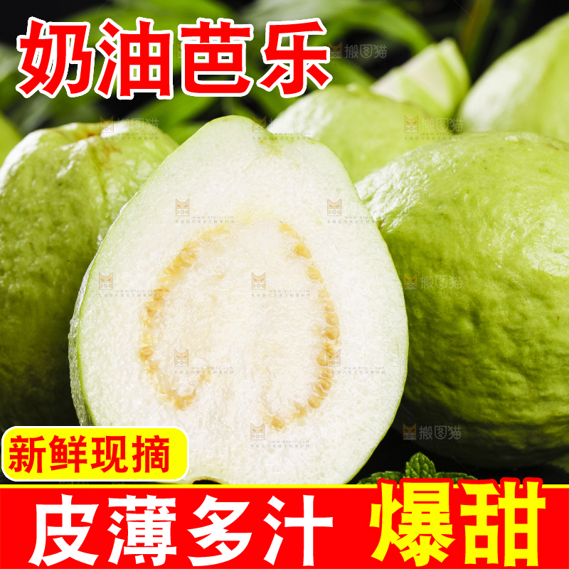 一堆新鲜的广西白心芭乐