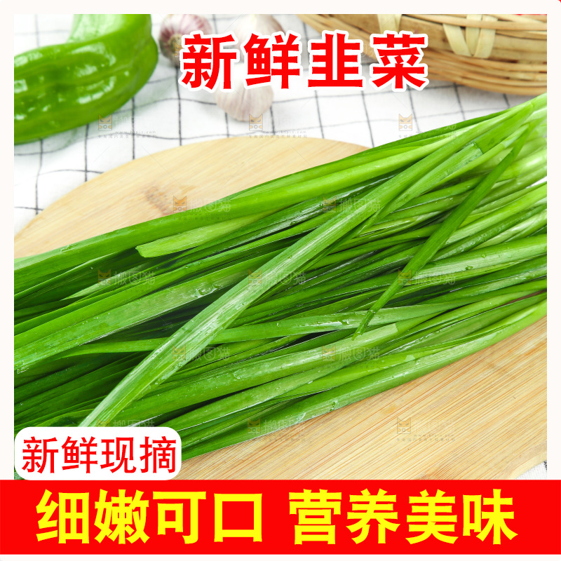 格子底上的鲜嫩韭菜