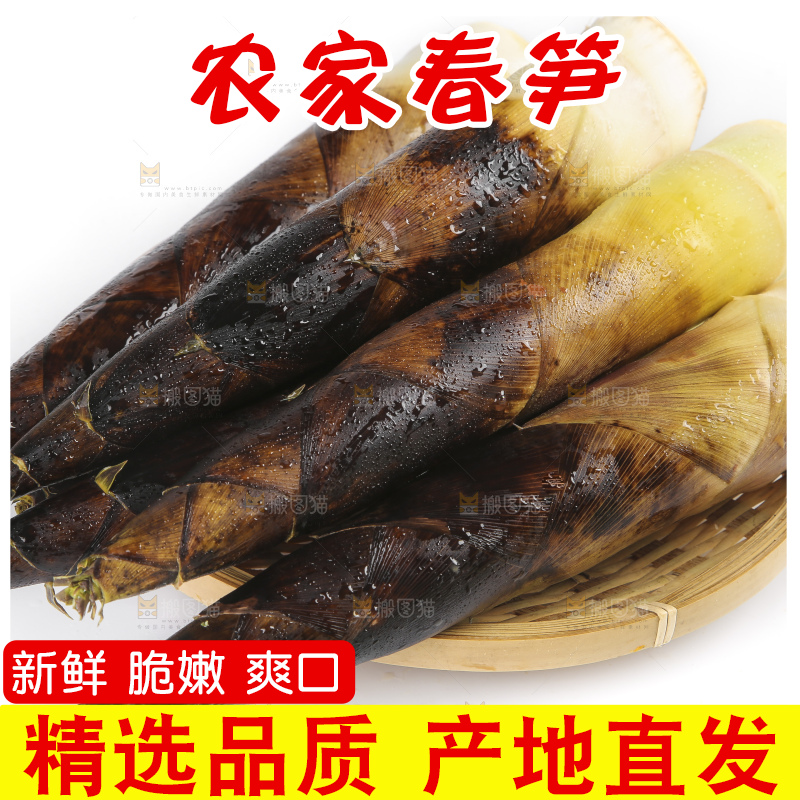 白底上放着新鲜的富阳春笋