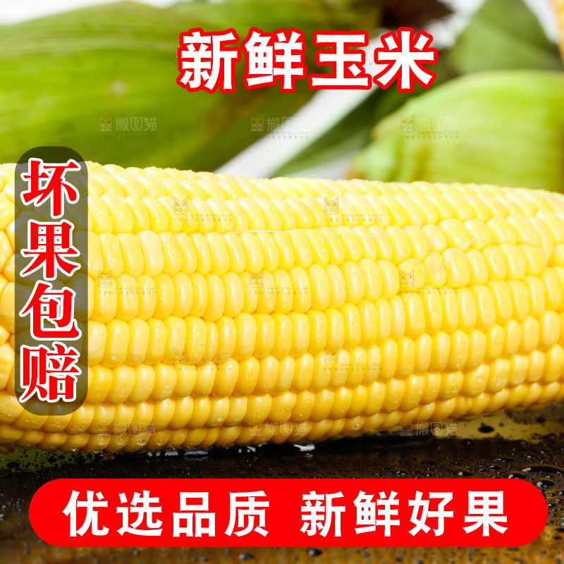 深底上的玉米