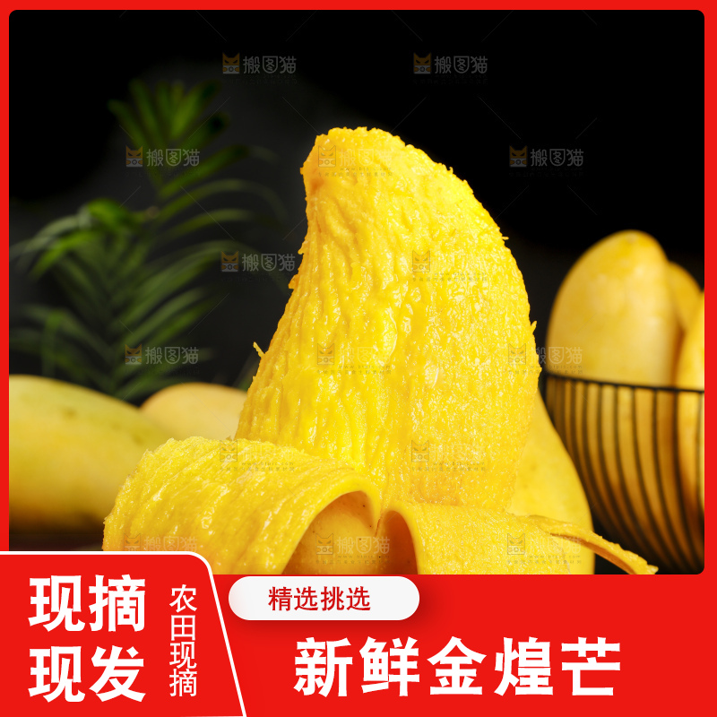 手拿剥皮的海南金煌芒