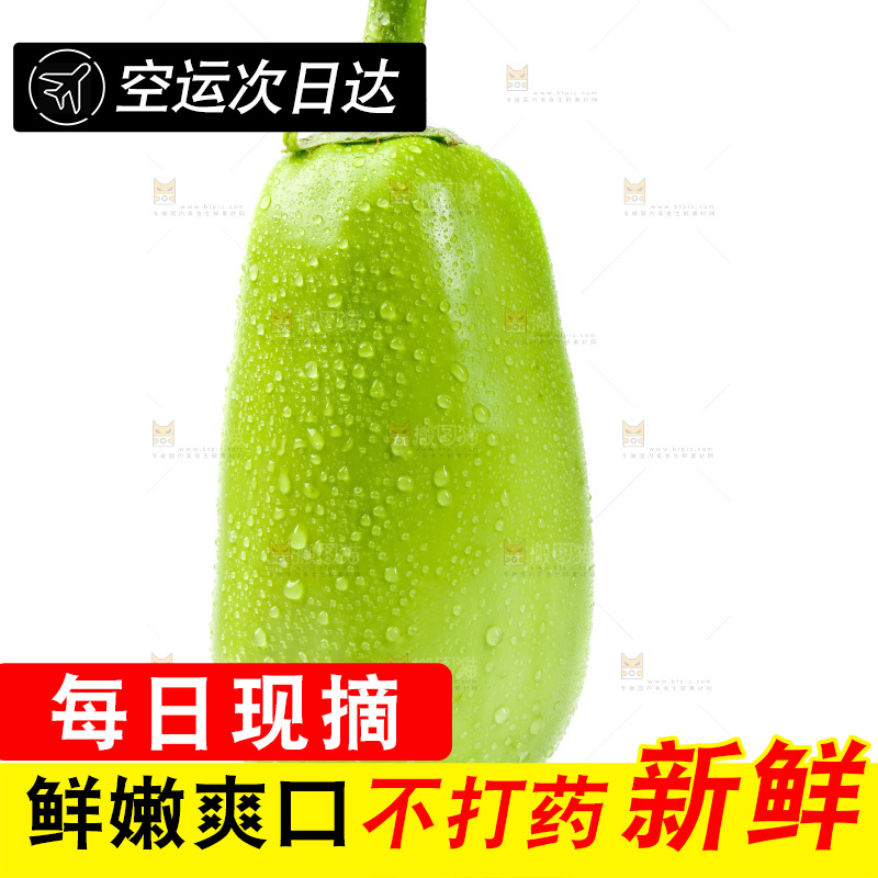 白底上放着青茄子