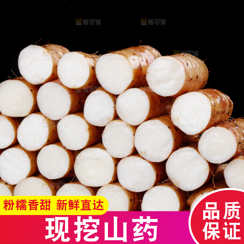 木底上的小白嘴山药