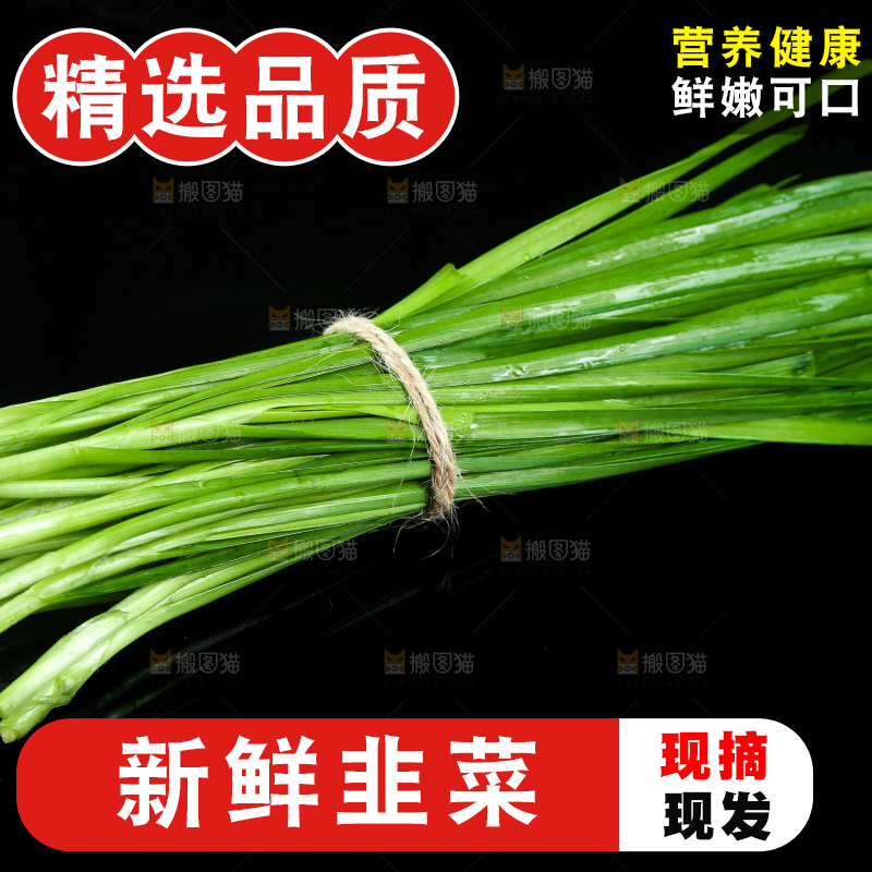 黑底上堆放着韭菜