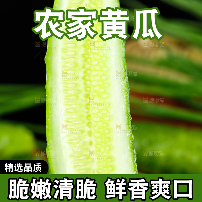 手里拿着黄瓜
