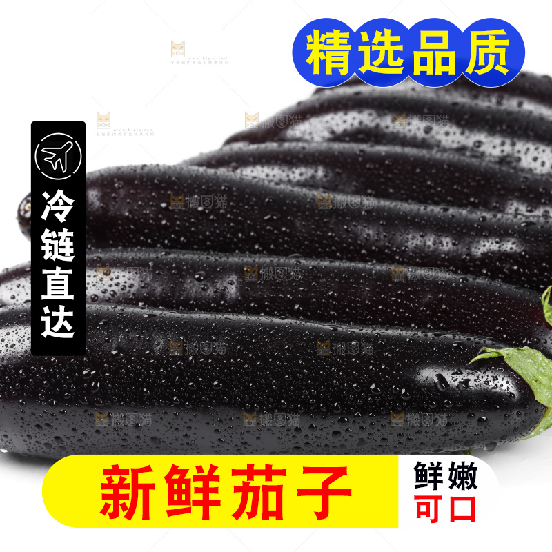 白底上的紫茄子