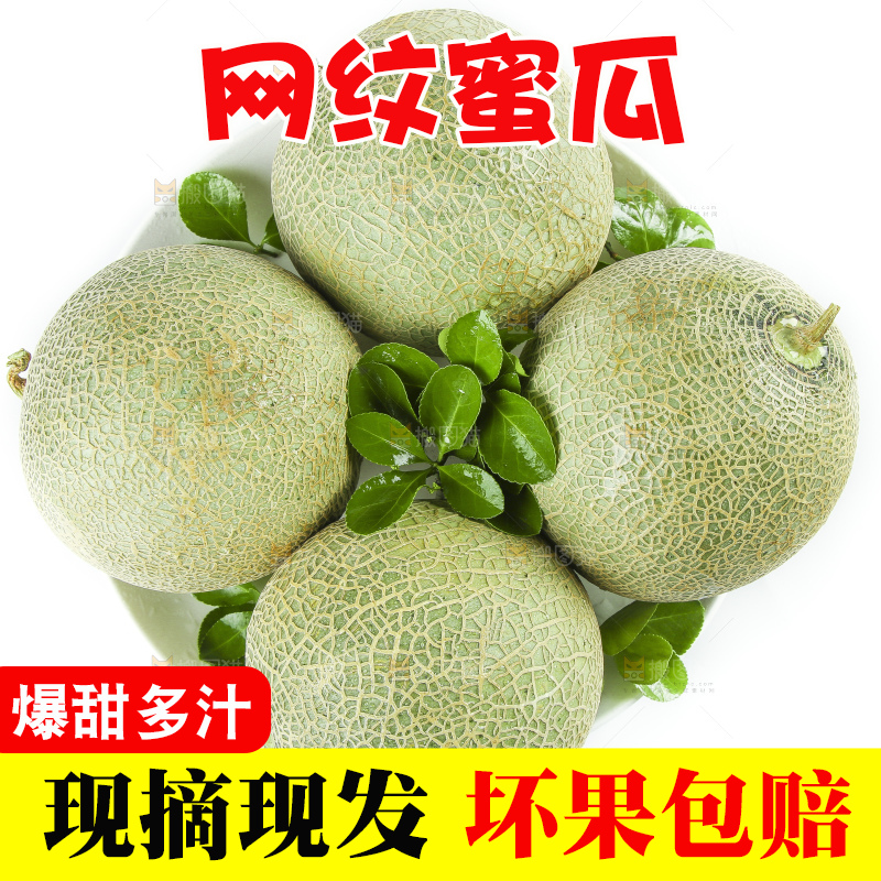 白底上放着新鲜玫珑网纹蜜瓜