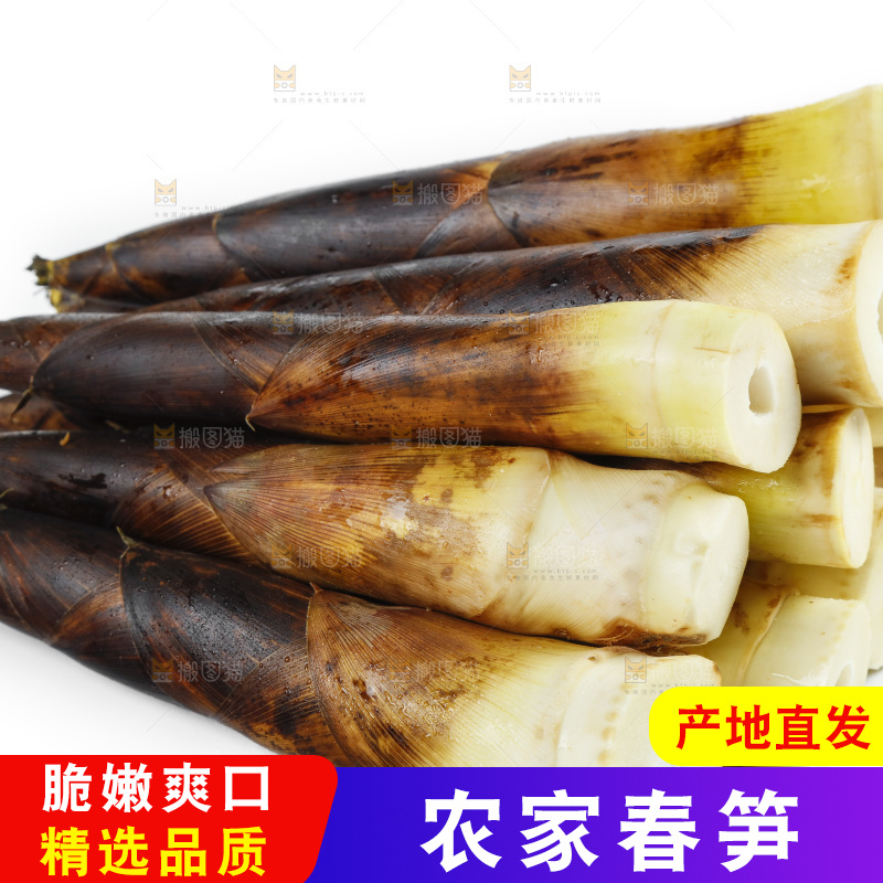 白底上放着一堆临安春笋