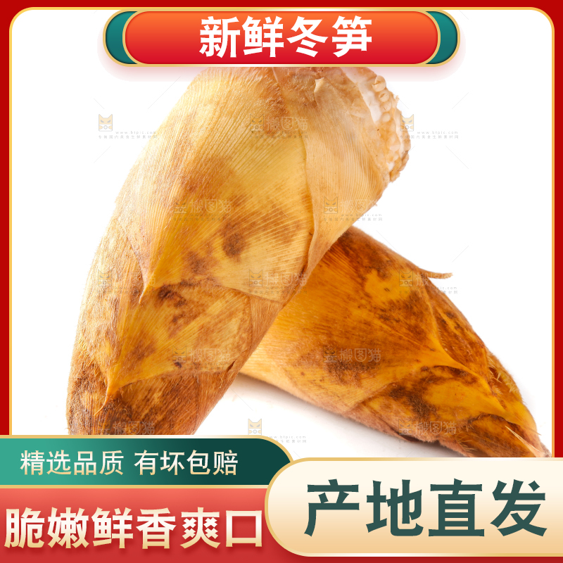 白底上摆放着冬笋